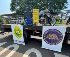 PM prende casal com mais de 72 kg de drogas em Assis Chateaubriand