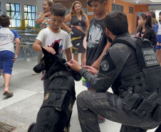População de Rio Branco do Sul vai receber PCPR na Comunidade neste sábado
