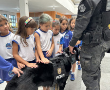 PCPR oferece serviços de polícia judiciária para população de Itaperuçu nesta semana