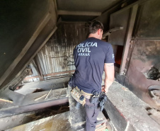 PCPR incinera 1 tonelada de drogas em Irati