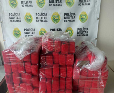PMPR apreende quase 50 kg de maconha em Londrina