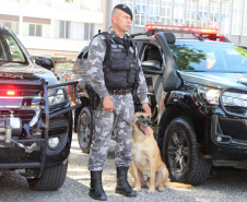 Operação Natal: Polícia Militar reforça segurança visando coibir crimes em todo o Estado