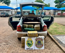PMPR apreende 1,2 tonelada de drogas e 900 caixas de cigarros contrabandeados no oeste do Estado 