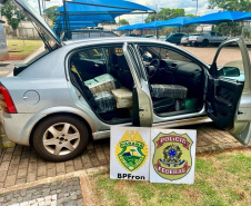 PMPR apreende 1,2 tonelada de drogas e 900 caixas de cigarros contrabandeados no oeste do Estado 