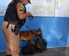 Forças de Segurança deflagram operação integrada preventiva e contra o crime