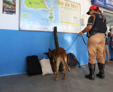 Forças de Segurança deflagram operação integrada preventiva e contra o crime