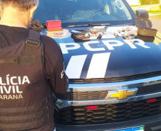 Mais de 200 policiais atuam em operação da PCPR contra o tráfico de drogas