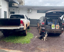 PMPR e Polícia Federal apreendem carga de contrabando avaliada em mais de 1,5 milhão de reais em Guaíra-PR em ação integrada