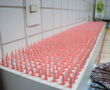 PMPR desmantela ponto de tráfico de drogas no bairro Tabuleiro em Matinhos