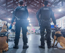 Vinte cães policiais reforçam operações da Polícia Penal do Paraná