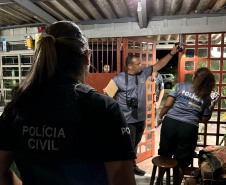 Forças policiais já realizaram 352 diligências especializadas durante o Verão Maior Paraná