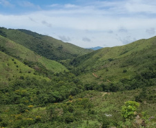 Polícias Militares do Paraná e São Paulo realizam operação integrada no Parque Estadual das Lauráceas