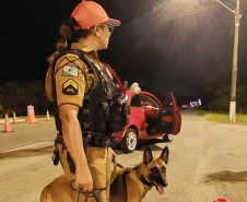 Operação Páscoa: Polícia Militar reforça fiscalização nas rodovias estaduais durante feriado