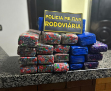 Batalhão de Polícia Rodoviária apreende 255 quilos de maconha 