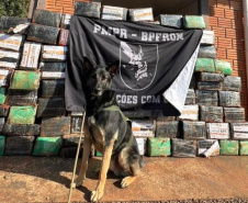 Com apoio de cão, PM apreende 1,5 tonelada de maconha em Santa Helena