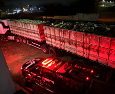 PCPR apreende cerca de duas toneladas de maconha e prende três suspeitos na RMC