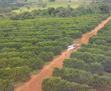 Avião interceptado pelas forças policiais parte ao meio e cocaína é localizada 