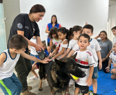 PCPR na Comunidade levará serviços gratuitos a Paranavaí, General Carneiro e Campo Largo