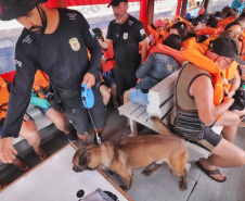 Turistas dos cruzeiros que desembarcaram e embarcaram no Litoral do Paraná destacam a segurança pública em pesquisas 