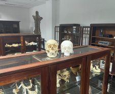 Réplica em 3D de crânio é a novidade no acervo do Museu de Ciências Forenses