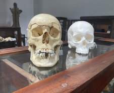 Réplica em 3D de crânio é a novidade no acervo do Museu de Ciências Forenses