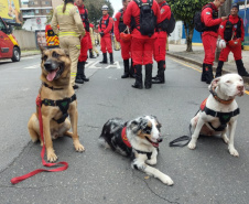Paraná sedia pela 1ª vez Certificação Nacional de Cães de Busca e Resgate