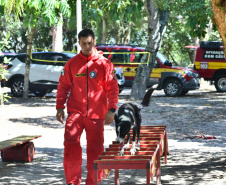 Paraná sedia pela 1ª vez Certificação Nacional de Cães de Busca e Resgate