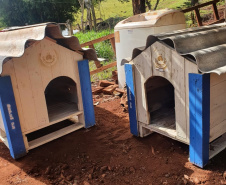 Casinhas feitas em penitenciária do Paraná vão ajudar a abrigar animais resgatados no RS