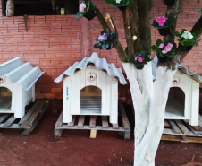 Casinhas feitas em penitenciária do Paraná vão ajudar a abrigar animais resgatados no RS