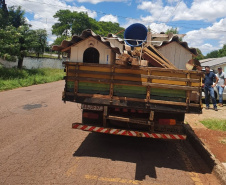 Casinhas feitas em penitenciária do Paraná vão ajudar a abrigar animais resgatados no RS