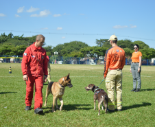 Com certificação nacional de duplas, Paraná amplia número de cães aptos para resgates