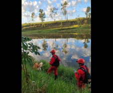 Com certificação nacional de duplas, Paraná amplia número de cães aptos para resgates