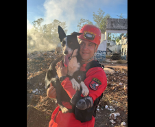 Com certificação nacional de duplas, Paraná amplia número de cães aptos para resgates