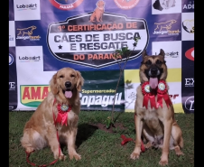 Com certificação nacional de duplas, Paraná amplia número de cães aptos para resgates