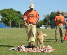 Com certificação nacional de duplas, Paraná amplia número de cães aptos para resgates