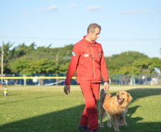 Com certificação nacional de duplas, Paraná amplia número de cães aptos para resgates