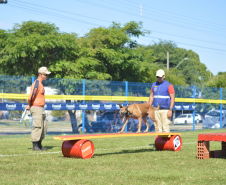 Com certificação nacional de duplas, Paraná amplia número de cães aptos para resgates