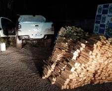 Operação Cosud: região Sul e Sudeste fortalecem o combate ao crime 