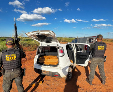 Operação Cosud: região Sul e Sudeste fortalecem o combate ao crime 