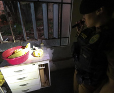 Operação Cosud: região Sul e Sudeste fortalecem o combate ao crime 