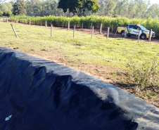 Crianças desaparecidas em Querência do Norte são encontradas por policiais militares