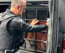 O importante papel da escolta prisional entre as funções da Polícia Penal do Paraná