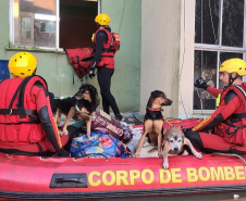 Com 104 agentes e muita tecnologia, forças de segurança do PR seguem apoiando o RS