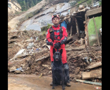 Paraná vai mandar novos bombeiros com cães de busca para o Rio Grande do Sul