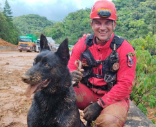 Paraná vai mandar novos bombeiros com cães de busca para o Rio Grande do Sul