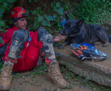Paraná vai mandar novos bombeiros com cães de busca para o Rio Grande do Sul