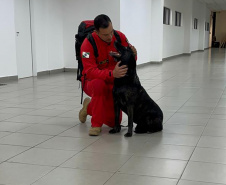 Cães e bombeiros do Paraná embarcam para o RS para ajudar em buscas por vítimas