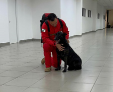 Cães e bombeiros do Paraná embarcam para o RS para ajudar em buscas por vítimas