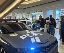 PCPR promove ações educativas sobre trânsito e combate ao abuso sexual infantil