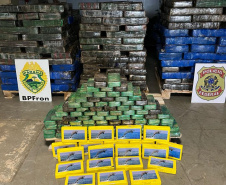 Forças policiais apreendem quatro toneladas e meia de maconha em Guaíra e Altônia